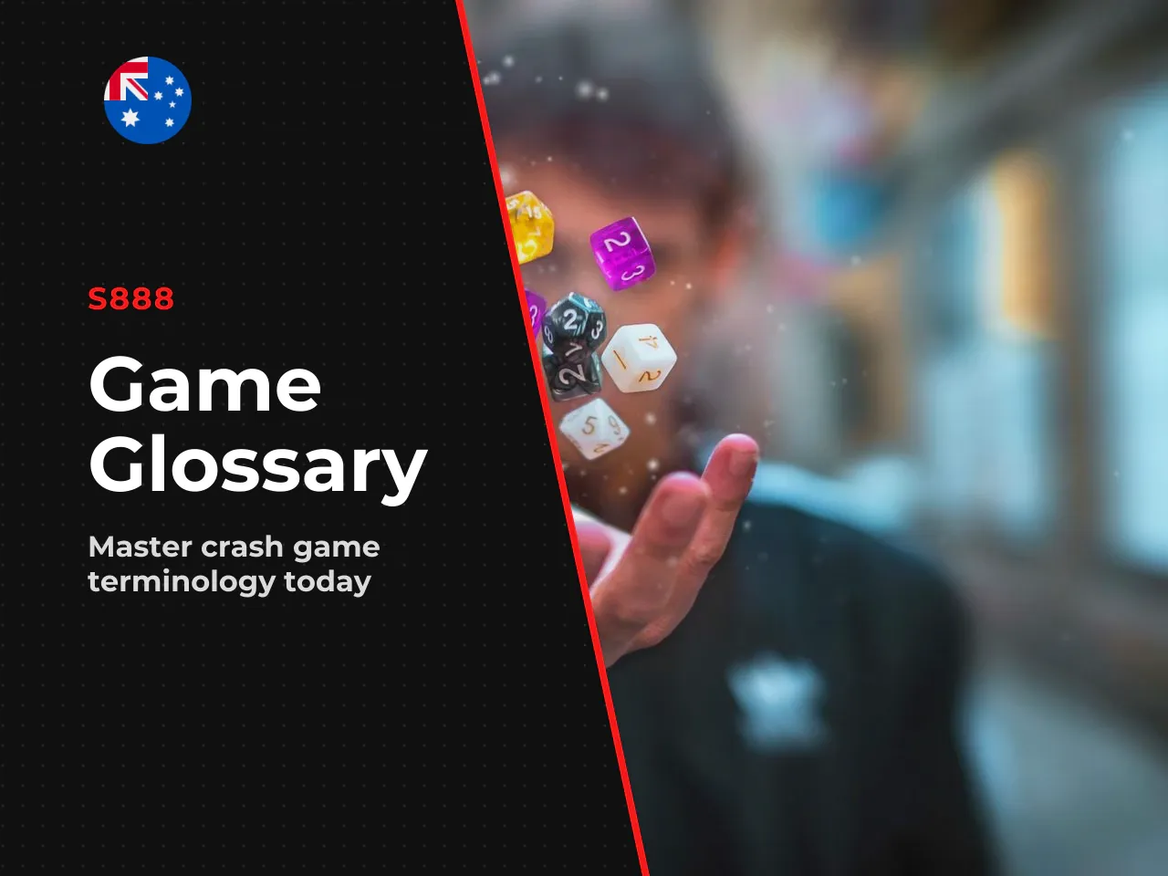 Glossary the terms used in this